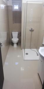 uma casa de banho com um WC e uma cabina de duche em vidro. em Apartament 2 camere Ultracentral em Tîrnăveni