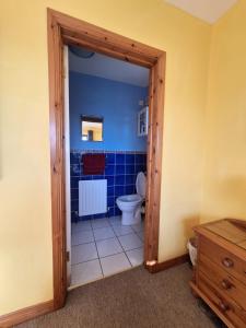a bathroom with a toilet and blue tiles at Beautiful Lakeside Holiday Home (6 Portinode Cottages) in Enniskillen +16 photos