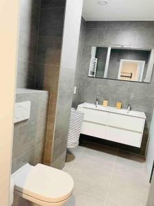 a bathroom with a toilet and a sink and a mirror at Luxury New Flat with Terrace & Parking-BEG1 in Luxembourg