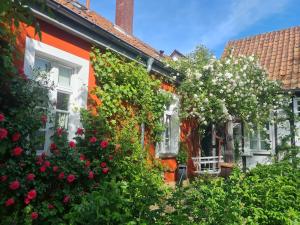 a group of houses with flowers and bushes at Rosindell cottage in Halle Westfalen
