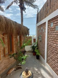 un patio di una casa con un gatto steso a terra di Casita Privada Máncora - Playa & Piscina a Máncora