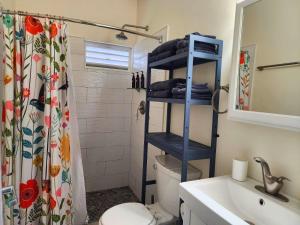 a bathroom with a blue shelf over the toilet at Ti Brico Gros Islet Bungalow in Gros Islet