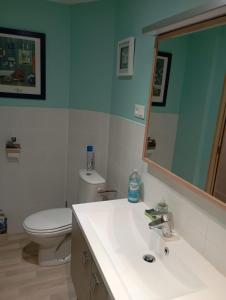 a bathroom with a sink and a toilet and a mirror at Kerfly in Plouër-sur-Rance