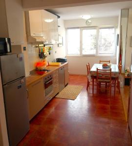 Kuchyň nebo kuchyňský kout v ubytování Apartment Mystic