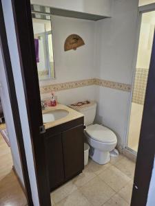 een badkamer met een toilet, een wastafel en een spiegel bij Departamento Céntrico CDMX in Mexico-Stad