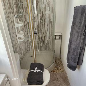 a bathroom with a shower and a toilet with a hat on it at Grand Vue Apartment Vieux Fort in Vieux Fort