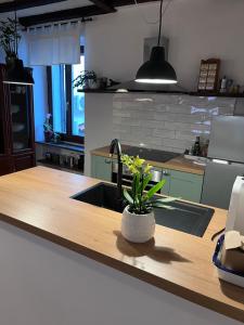 Kuchyň nebo kuchyňský kout v ubytování Apartment Capo D'Istria