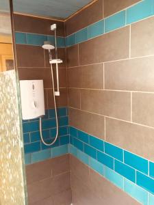 a bathroom with a shower with blue tile at Cosy Shepherds hut Between Maple and Hawthorn in Mountshannon