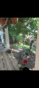 Gallery image of Hotel San Antonio in San Juan La Laguna