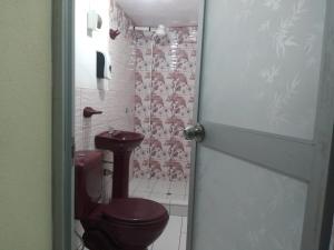 een badkamer met een toilet en een wastafel bij Departamento de 3 pisos a 9 cuadras de la plaza in Ayacucho