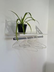 a glass shelf with a potted plant on it at Hermoso departamento panorámico en Rio Gallegos in Río Gallegos