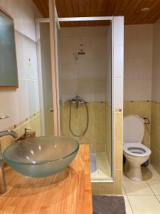 ein Badezimmer mit einer großen Glasbadewanne neben einem WC in der Unterkunft LE GÎTE DE JEANNOT in La Boisse
