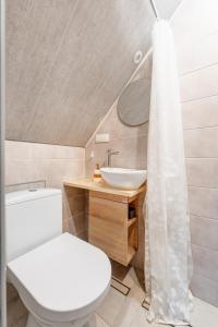 a bathroom with a white toilet and a sink at Old Town Apartment Antokolskio in Vilnius