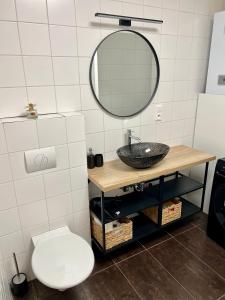 a bathroom with a sink and a toilet and a mirror at Sušilova 14 apartments II in Přerov