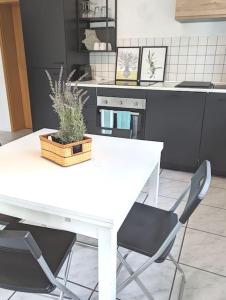 een witte tafel en stoelen in een keuken bij ApartmentLochbrücke in Meckenbeuren