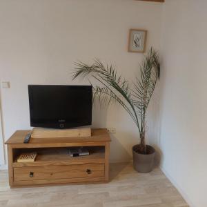 una TV su un supporto in legno con una pianta in vaso di Günstige, moderne Zimmer im Wanderparadies a Wernigerode