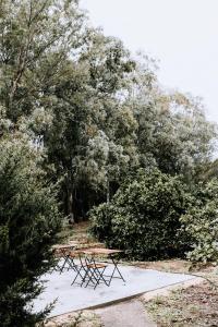 Gallery image of Finca Laida in Vejer de la Frontera