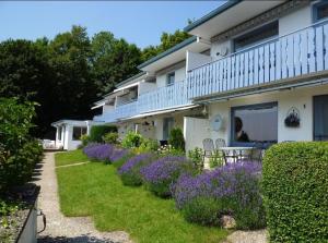 une rangée de fleurs violettes devant un bâtiment dans l'établissement Ferienwohnung Sielbeck, Urlaub mit Hund, WLAN verfügbar, à Eutin