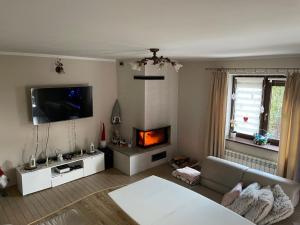 TV a/nebo společenská místnost v ubytování MiiG Residence Jacuzzi & Sauna Zator Oświęcim