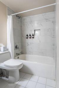 a white bathroom with a toilet and a bath tub at Hartford Cityscape Bushnell Park Downtown Skyline in Hartford