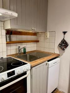 Kuchyň nebo kuchyňský kout v ubytování Sydkustens at Tullnäs Vingård
