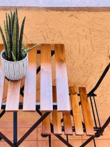 une plante en pot assise sur un banc en bois dans l'établissement Bilocale a Capalbio “Tiny Home”, à Capalbio