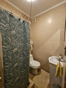 a bathroom with a toilet and a shower curtain at Hostal el Parron in Rancagua