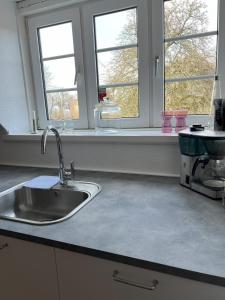 un bancone della cucina con lavandino e due finestre di Vejbæk Domus a Padborg