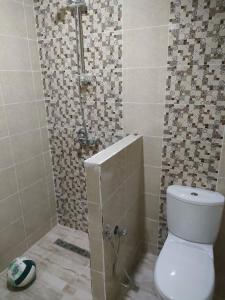 a bathroom with a shower and a toilet in it at New appartement 2 chambres in Soliman