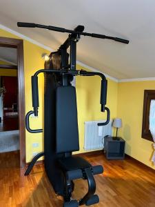 uma sala com equipamento de ginásio numa sala de estar em Casa Serenella em Piazzola sul Brenta