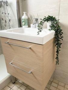 a bathroom sink with a plant on top of it at Parc de la tête d’or - Appart lumineux et spacieux in Villeurbanne