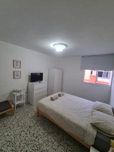 ein Schlafzimmer mit einem Bett und einem TV in der Unterkunft EEB Room HABITACIÓN PRIVADA EN PISO COMPARTIDO in La Laguna