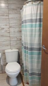 a bathroom with a toilet and a shower curtain at Duplex CATALINA 2 in La Plata