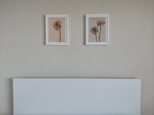 two framed pictures of flowers on a wall at Apartment Polkaposki Trpejca in Trpejca
