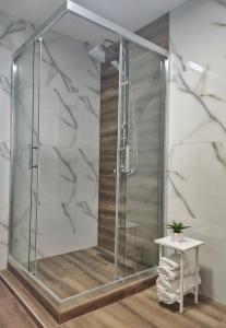 um chuveiro com uma caixa de vidro na casa de banho em Apartment Polkaposki Trpejca em Trpejca