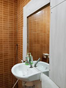 a bathroom with a sink and a mirror at Flower 2 in Jerash