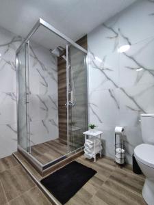 uma casa de banho com um chuveiro e um WC. em Apartment Polkaposki Trpejca em Trpejca