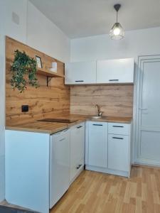 een keuken met witte kasten en een houten muur bij Apartment Polkaposki Trpejca in Trpejca