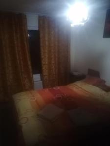 ein Schlafzimmer mit einem Bett, einer Lampe und Vorhängen in der Unterkunft La Mylii in Berevoeşti
