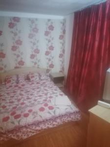 1 dormitorio con 1 cama con cortina roja en La Mylii, en Berevoeşti