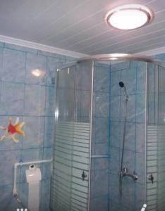 y baño con ducha y aseo. en La Mylii, en Berevoeşti