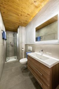 ein Bad mit einem Waschbecken, einem WC und einer Dusche in der Unterkunft Haus Vogl in Berchtesgaden