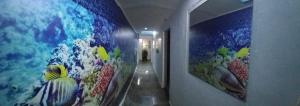 Fotografie z fotogalerie ubytování Hotel Dmauro v destinaci Cartagena