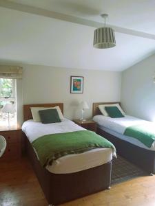 1 dormitorio con 2 camas y luz colgante en Ballyhoura Mountain Lodges, en Ballyorgan
