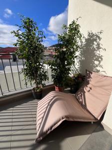 Balkón nebo terasa v ubytování Apartment Machico near the beach