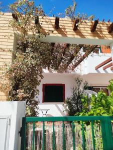Uma casa branca com uma cerca verde à frente. em The South Sunny House - A Casa a Sul em Olhão