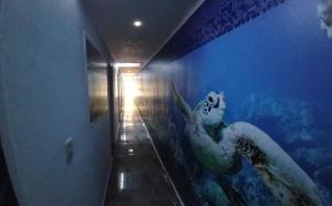 Fotografie z fotogalerie ubytování Hotel Dmauro v destinaci Cartagena