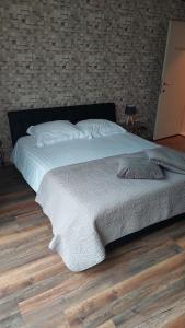 a bedroom with a bed with a cat laying on it at Edelweis in Blankenberge