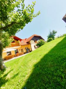 a house on the side of a grassy hill at Apartments Organic Tourist Farm Gradišnik in Prevalje