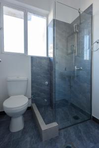 La salle de bains est pourvue de toilettes et d'une douche en verre. dans l'établissement Liberal Gazi, à Athènes